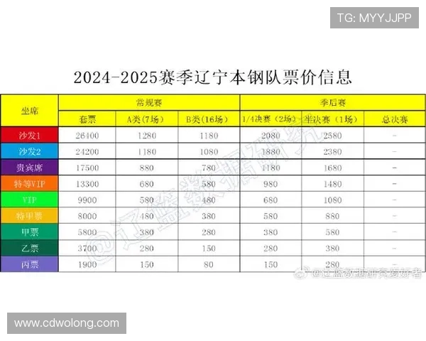 NBA门票价格解析，了解NBA比赛票价与购买渠道