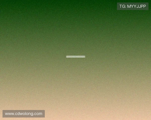 德甲球队补强阵容及赛季转会动态