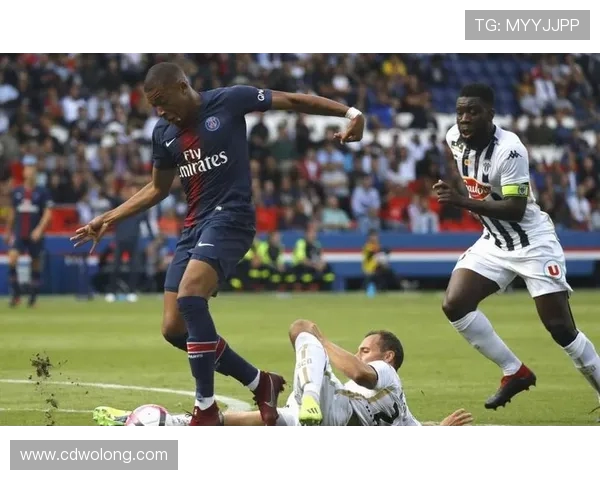 法甲里昂球迷文化建设与相关活动情况