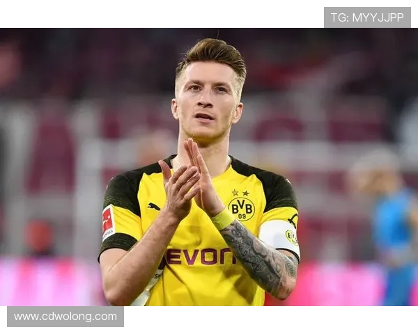 罗伊斯加盟德甲球队的贡献与未来展望