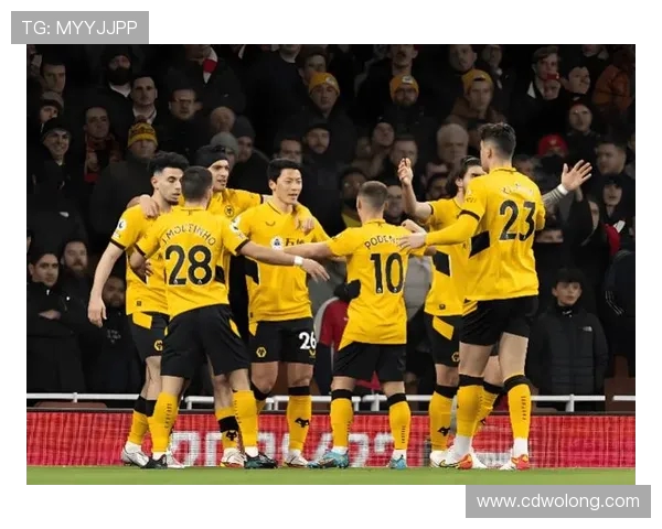 英超狼队9号球员生涯发展与比赛表现分析