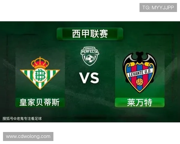 西甲低级别联赛怎么：了解西甲低级别联赛的结构与参赛规则