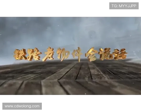 绿军守望下的康复之路与归来的希望之光