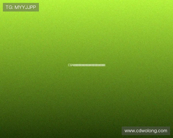 CBA季后赛辽宁队晋级之路:对手分析与关键战役前瞻 CBA季后赛辽宁队晋级之路:对手分析与关键战役前瞻